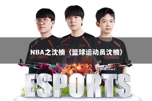 NBA之沈楠（篮球运动员沈楠）