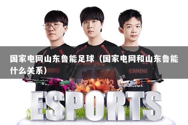 国家电网山东鲁能足球（国家电网和山东鲁能什么关系）
