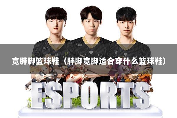 宽胖脚篮球鞋（胖脚宽脚适合穿什么篮球鞋）
