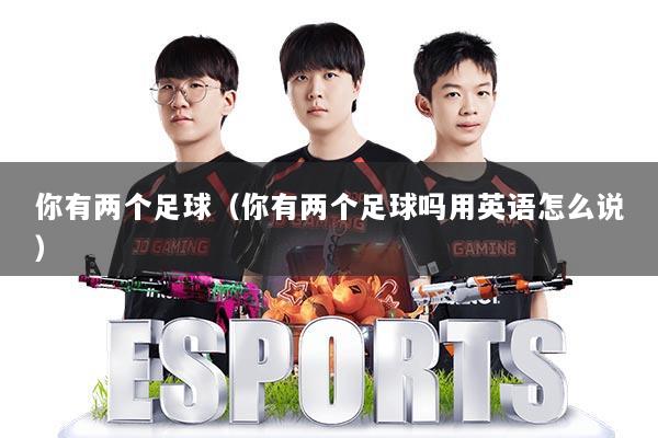 你有两个足球（你有两个足球吗用英语怎么说）