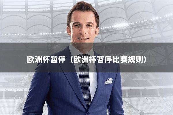 欧洲杯暂停（欧洲杯暂停比赛规则）
