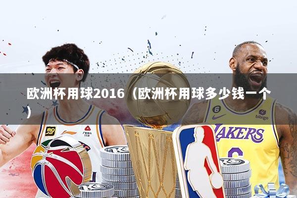 欧洲杯用球2016（欧洲杯用球多少钱一个）