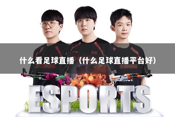 什么看足球直播（什么足球直播平台好）