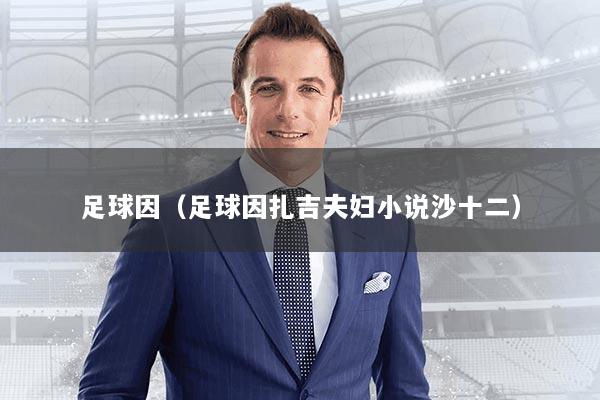 足球因（足球因扎吉夫妇小说沙十二）