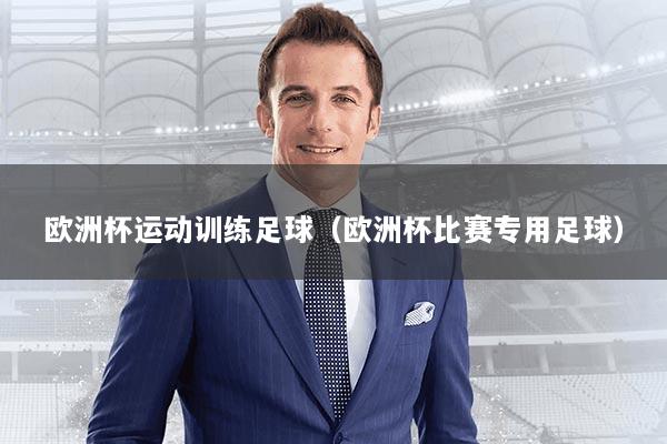 欧洲杯运动训练足球（欧洲杯比赛专用足球）