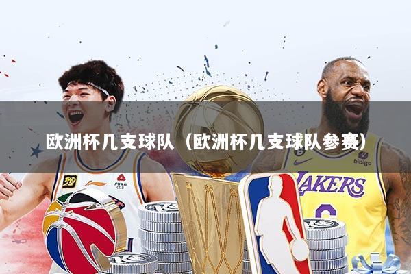 欧洲杯几支球队（欧洲杯几支球队参赛）
