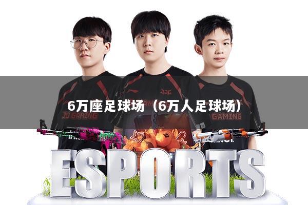 6万座足球场（6万人足球场）