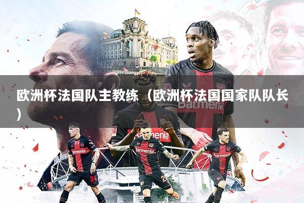 欧洲杯法国队主教练（欧洲杯法国国家队队长）