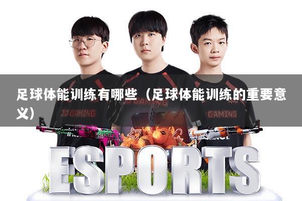 足球体能训练有哪些(足球体能训练的重要意义)